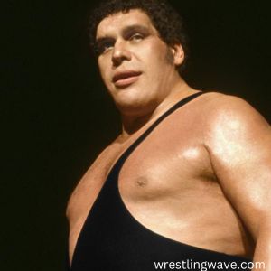Andre the Giant Wiki Biography